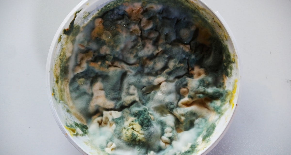 Clean label preservation: what actually replaces a preservative — Align Experts
