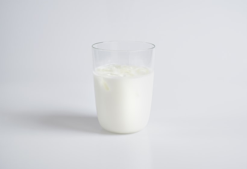 Fermented dairy — Dairy Based Products, Align Experts