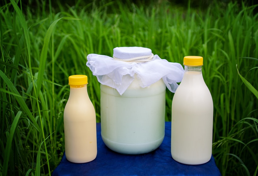 UHT &amp; ESL beverages — Dairy Based Products, Align Experts