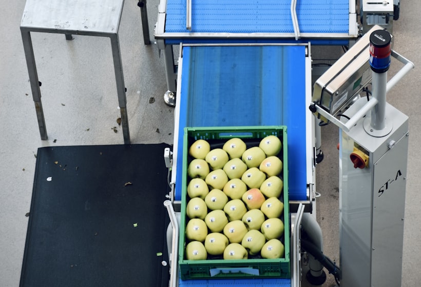 Process design — Food &amp; Beverage, Align Experts