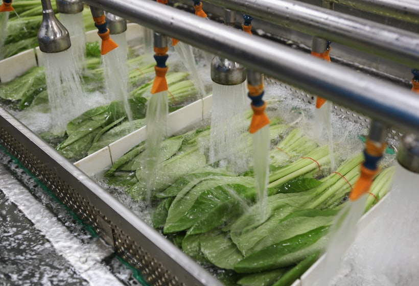Pulps &amp; purees — Fruit &amp; Vegetable Based Products, Align Experts