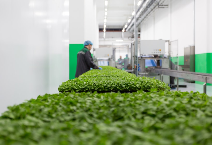 Jams, spreads &amp; fillings — Fruit &amp; Vegetable Based Products, Align Experts