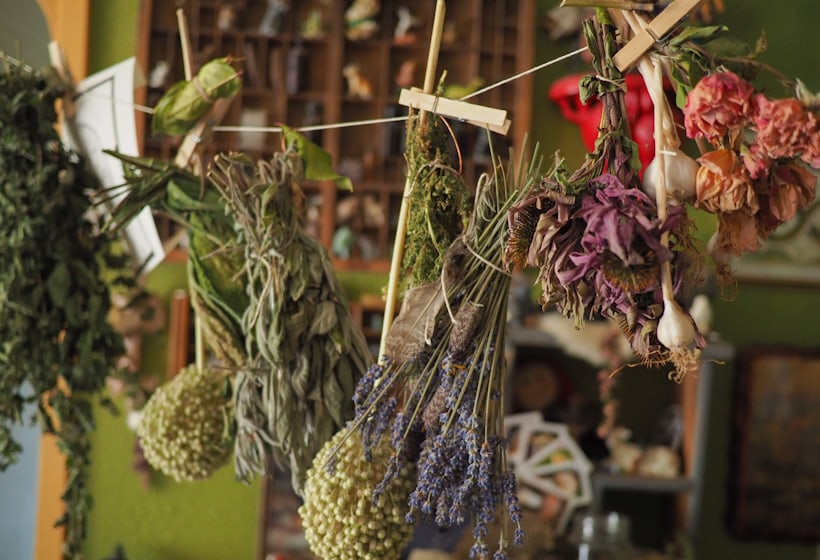 Extract standardisation — Herbal Food &amp; Supplements, Align Experts
