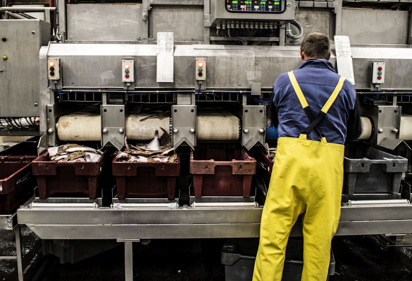 Line diagnostics — Process Innovation, Align Experts