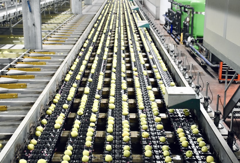 Equipment specification — Processing Line Solutions, Align Experts