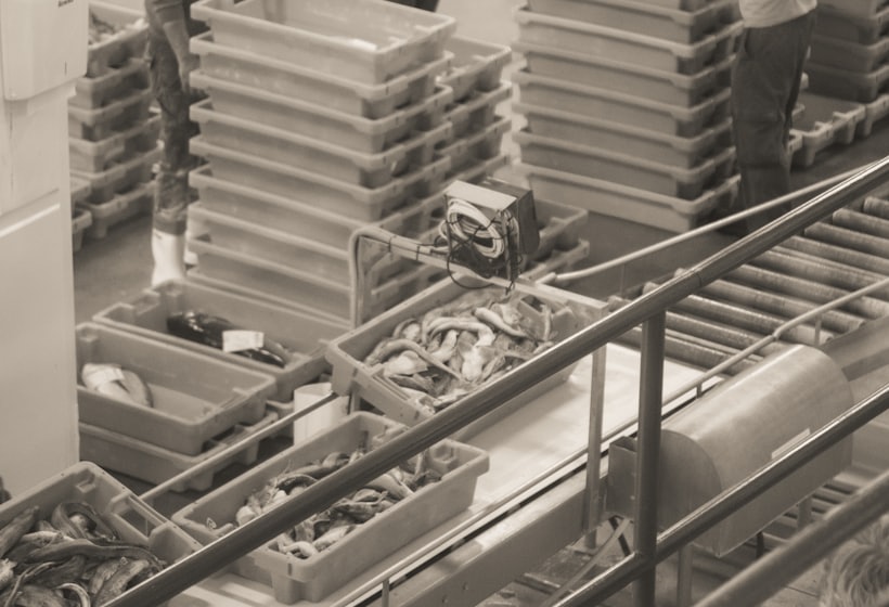 Vendor evaluation — Processing Line Solutions, Align Experts