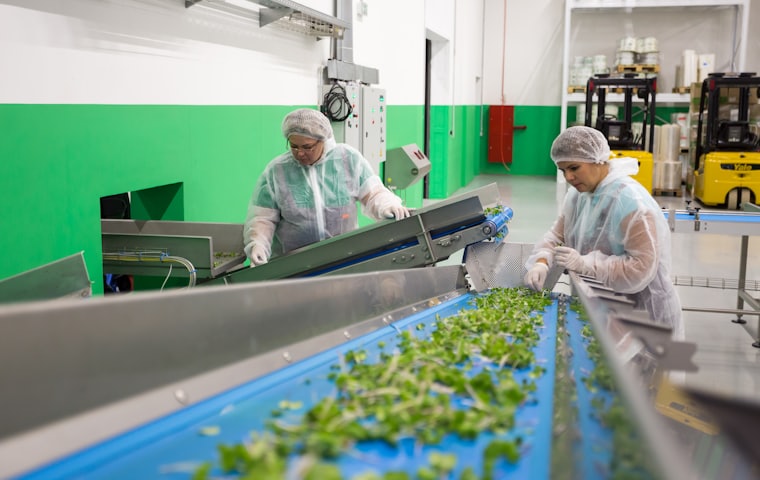 Food & Beverage — Align Experts