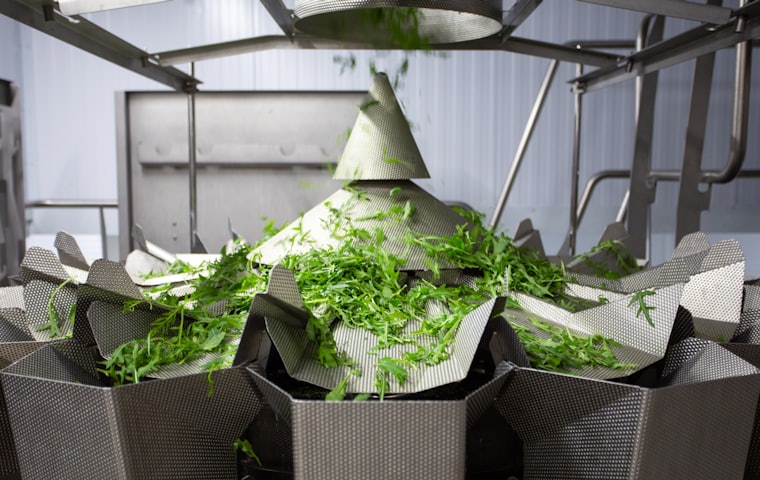 Fruit & Vegetable Based Products — Align Experts