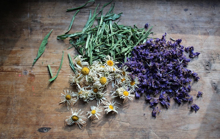 Herbal Food & Supplements — Align Experts