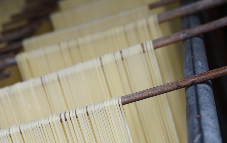 Noodles & Pasta — Align Experts