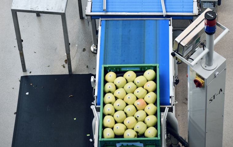 Processing Line Solutions — Align Experts